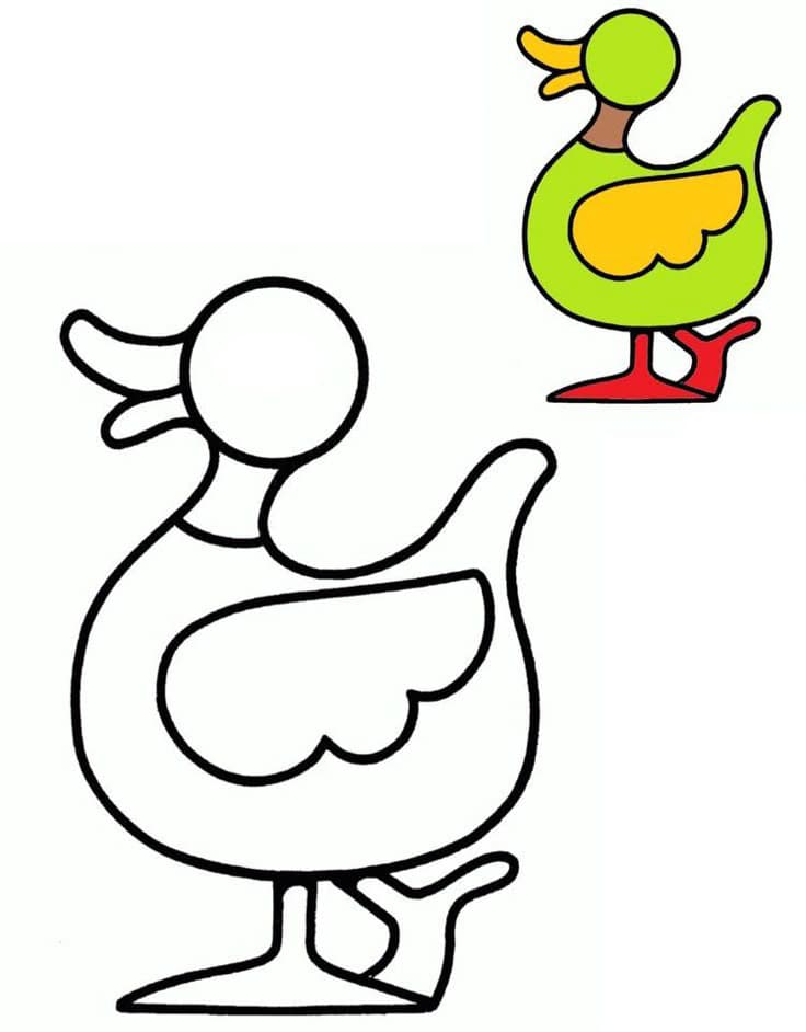 Coloriage d’un canard à imprimer pour enfant