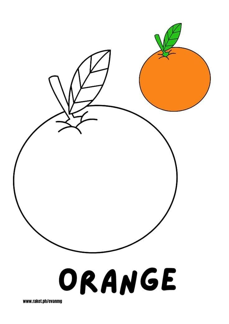 Coloriage d’une orange à imprimer pour enfant