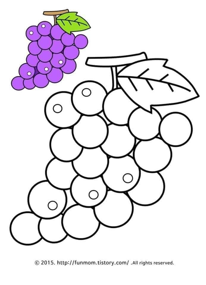 Coloriage d’une grappe de raisin à imprimer pour enfant