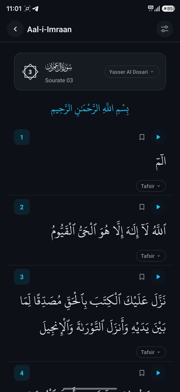 Reading the Quran in night mode in Muslim Guard