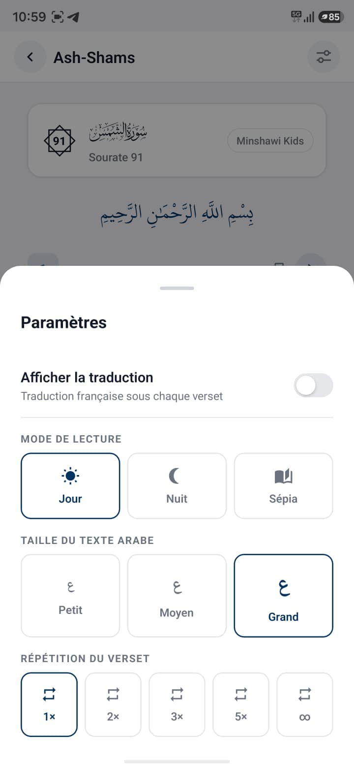 Quran reading settings: mode, text size and repetition
